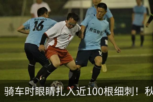 骑车时眼睛扎入近100根细刺！秋季多见，北京、上海、杭州接连有人中招，专家提醒→